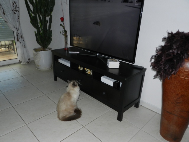 dscn7410