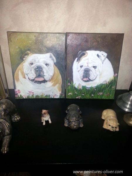 Un duo de bulldog, Caramelle et Arthur.