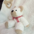 L'ours et sa couverture toute douce attendent bébé
